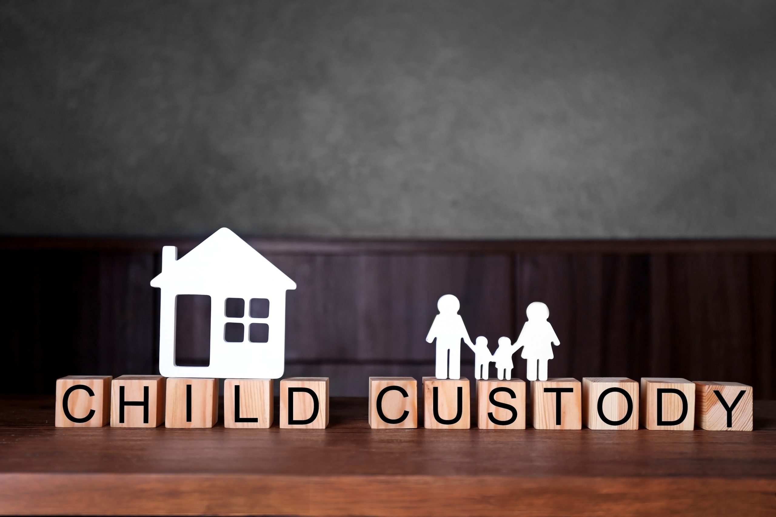 Guntersville Custody Lawyers